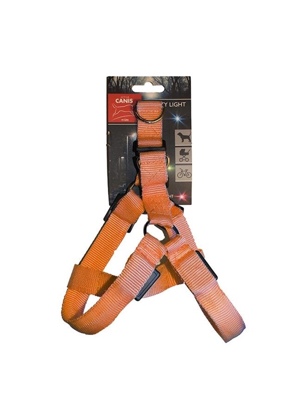 Active Canis Led light harness xl orange