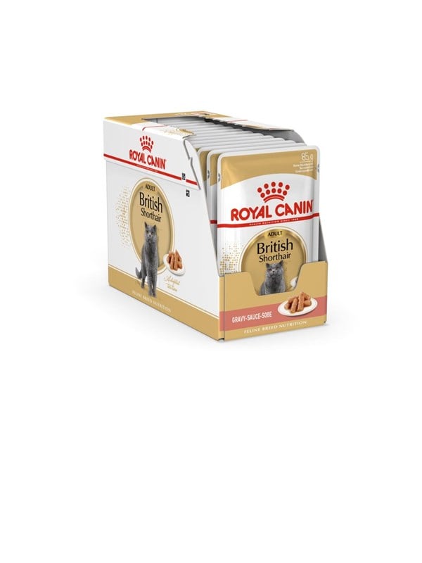 Royal Canin British Shorthair Packung 12 x 85g