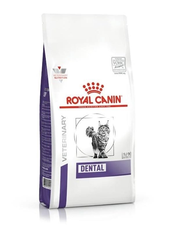 Royal Canin Dental - dry cat food - 15kg