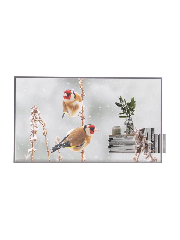 LG 55EW5P-M 55" OLED display - Full HD - for digital signage