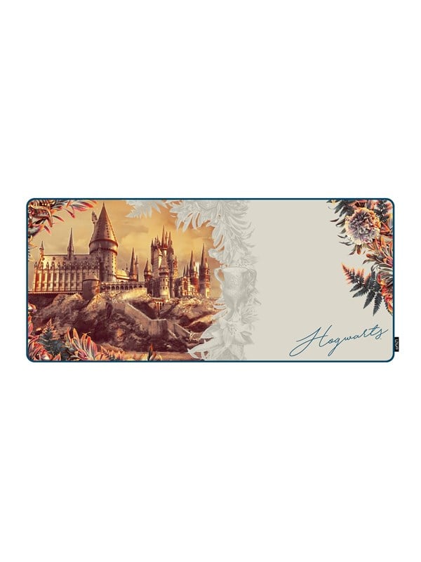 Lexip Warner Bros mouse pad - flexible soft micro-textured surface - size XXL