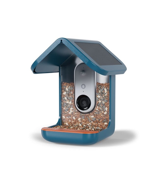 Bird Buddy bird buddy smarter Vogelfutterautomat mit Solardach b