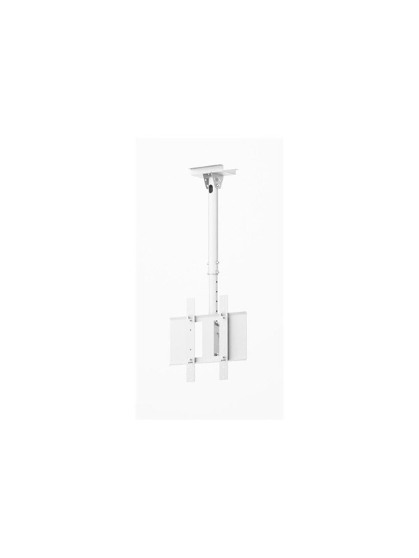HI-ND mounting component - for flat panel - white - Max 25 kg - recommended for 65