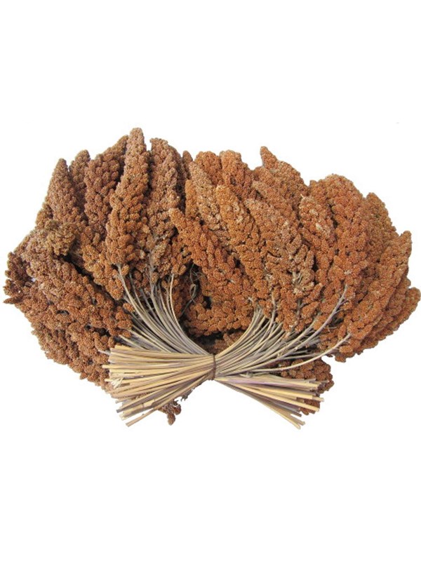 Hobby First Rote Hirsekolben 25 kg