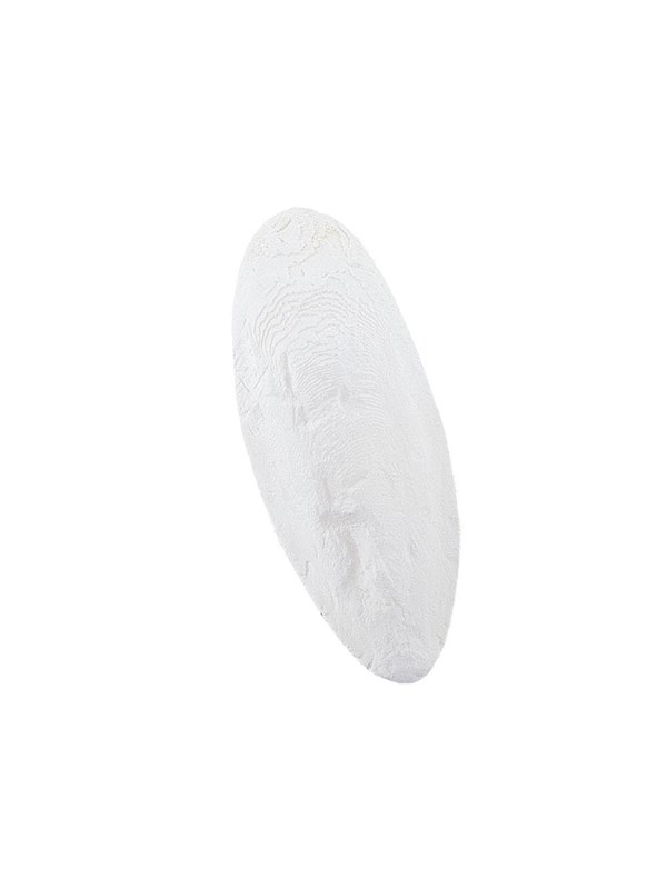 Nobby Sepiaschalen 1 15-20 cm 1 kg