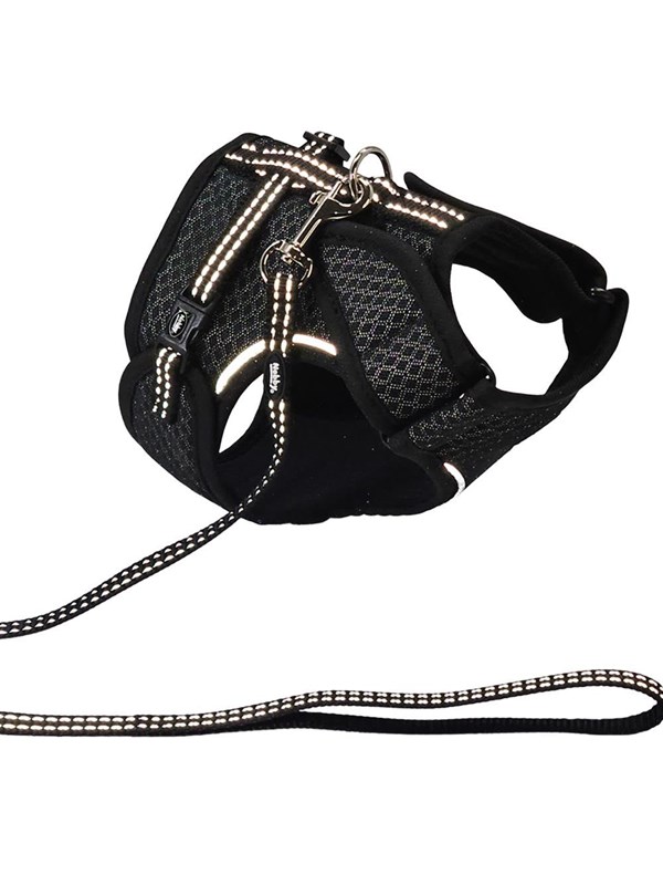Nobby Katzengeschirr-Set FLAP