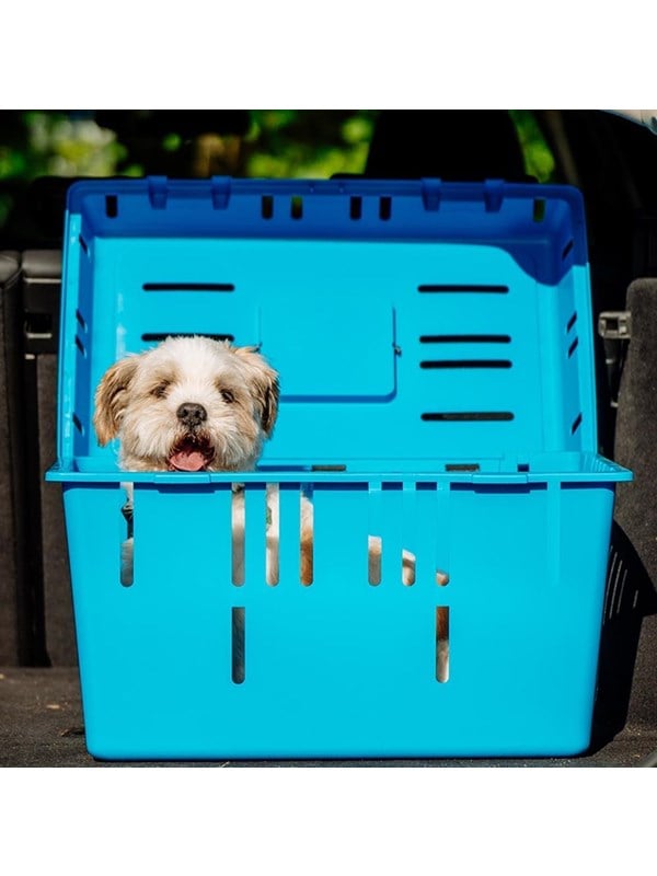 Savic Transportbox Pet Caddy II 55 x 37 x 33 cm blau