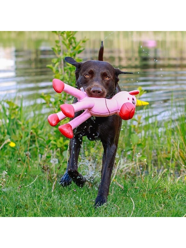 Wasserspielzeug für Hund Einhorn Floating 395 cm