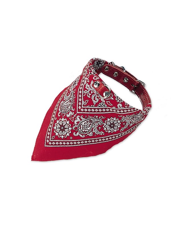 Halsband mit Tuch Hundebekleidung - Nobby
