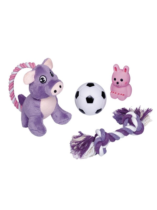 Nobby Welpen Starter-Set - Spielzeug
