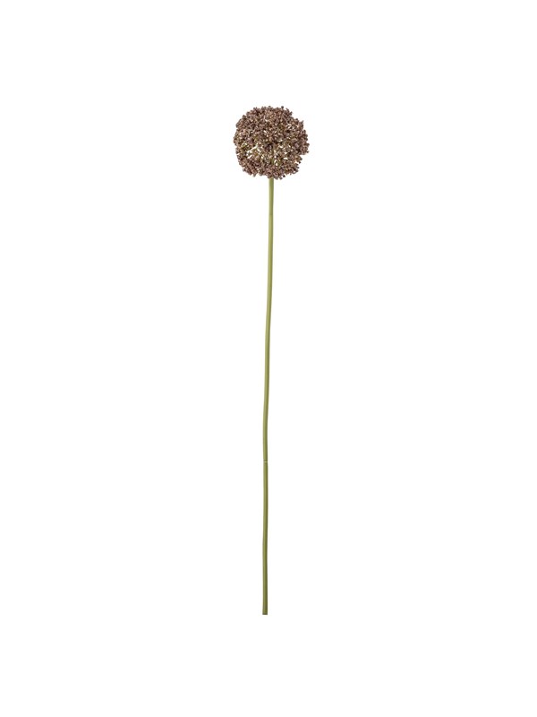 Allium Stiel Braun Künstliche Blume Ø 9xH70 cm