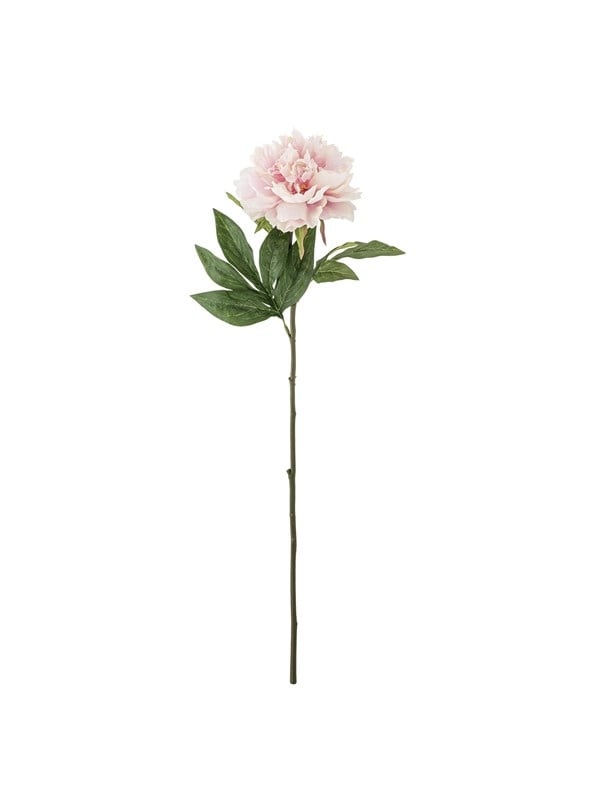 Bloomingville Peony