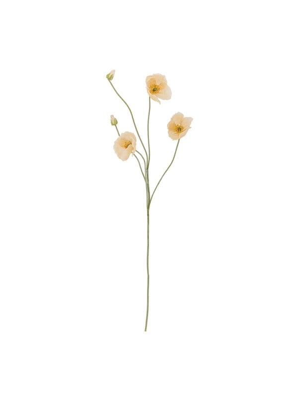 Bloomingville Poppy