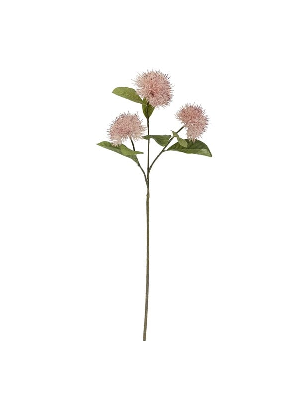 Bloomingville Chrysantemum