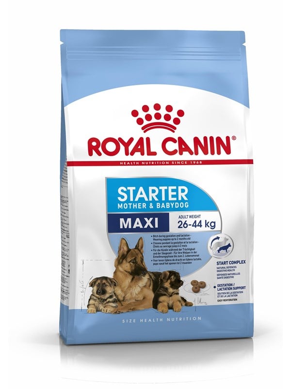 Royal Canin Maxi Starter Mother  Babydog