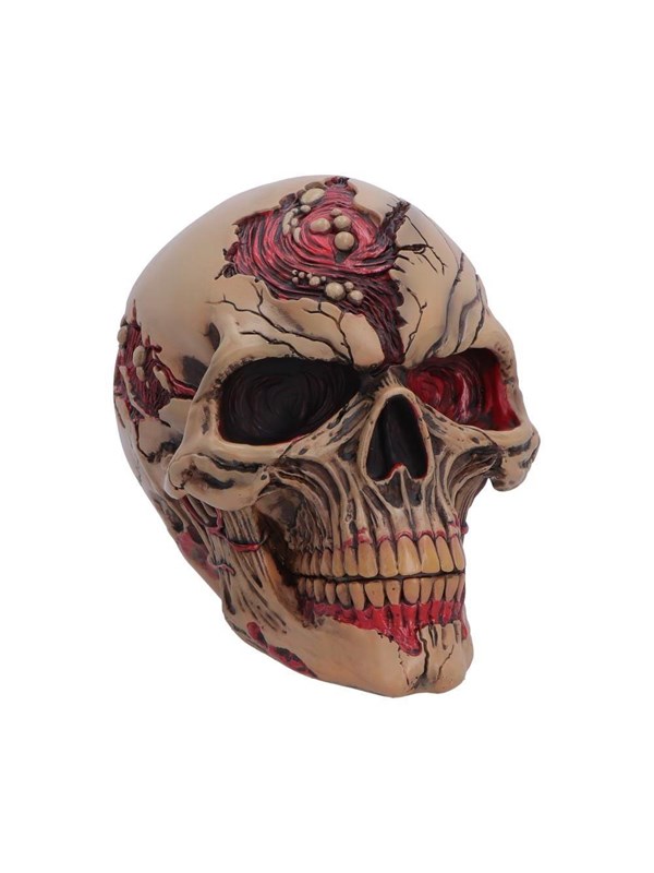 Nemesis Now - Nemesis - Hall Of Horrors - Zombie Skull - Figur
