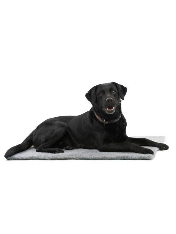 KRUUSE Vet Bed grau 150 x 75 cm