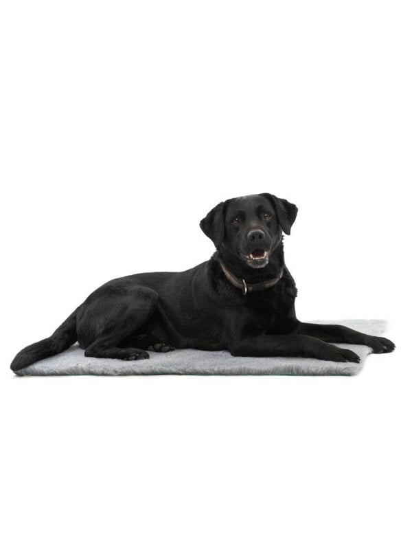 KRUUSE Vet Bed grau 100 x 75 cm