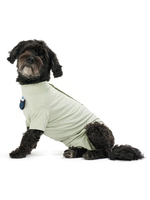 KRUUSE BUSTER Body Suit Stepn Go For Dogs XL Dusty Gre