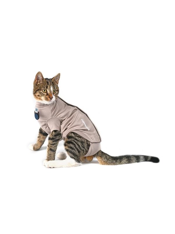 KRUUSE BUSTER Body Suit Stepn Go fr Katze XXXS