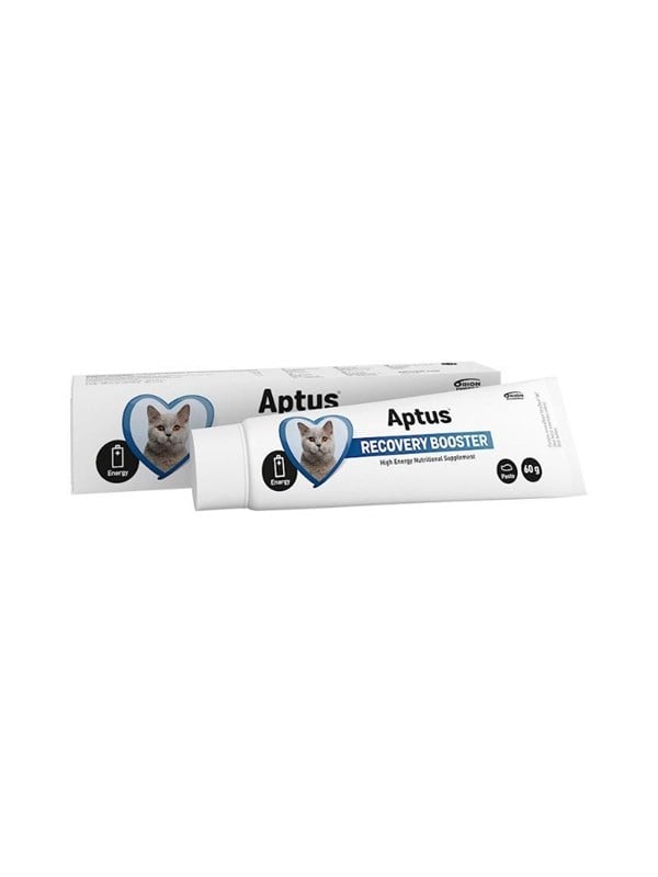 Aptus Recovery Booster fKatze 60 g Reconvalescent