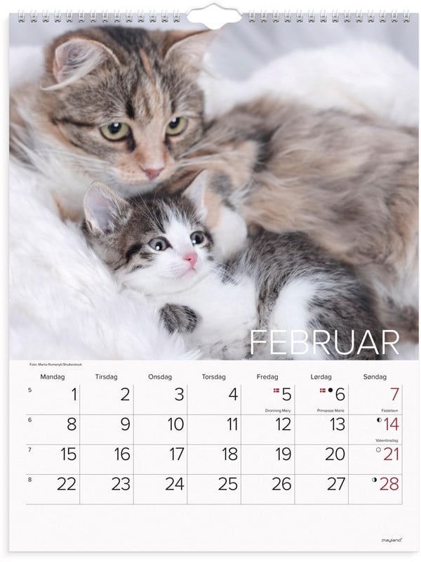 Mayland Vgkalender Katte 2027