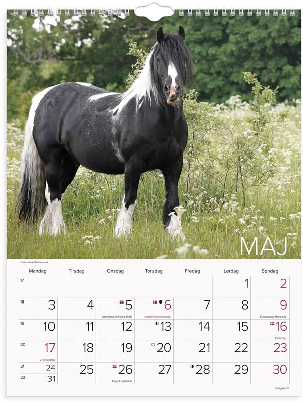 Mayland Vgkalender Heste 2027