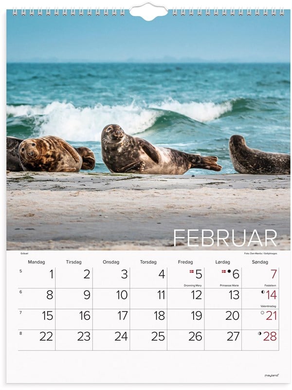 Mayland Vgkalender Verdens dyr 2027