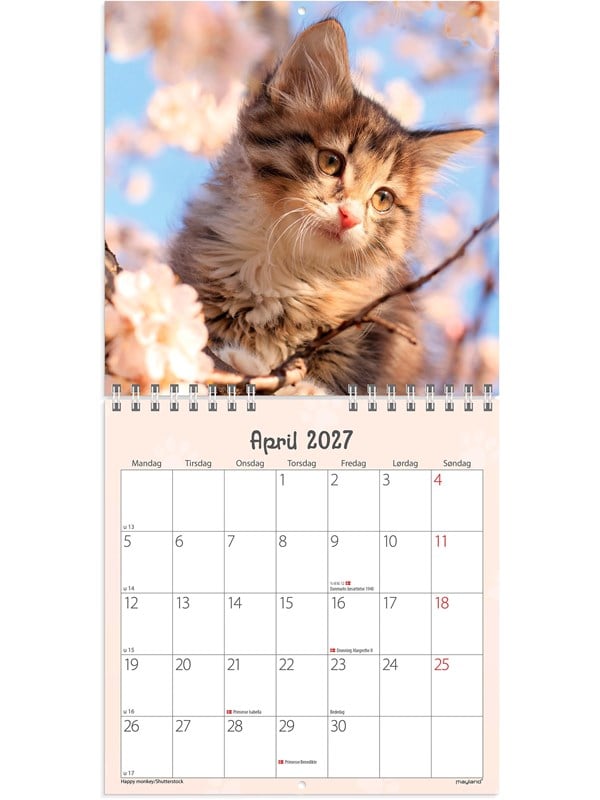 Mayland Vgkalender mini Kattekillinger 2027