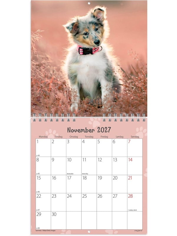 Mayland Vgkalender mini Hundehvalpe 2027
