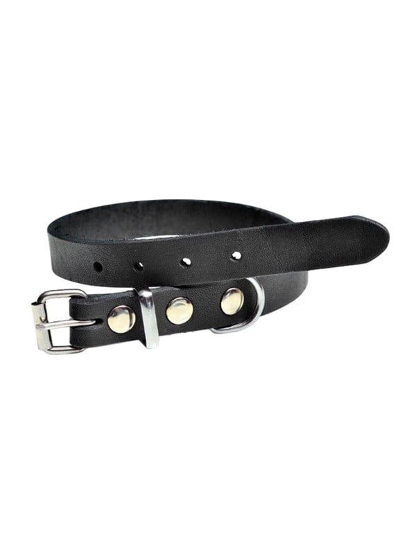 Timely PRAG Halsband Schwarz 12 mm  30 cm