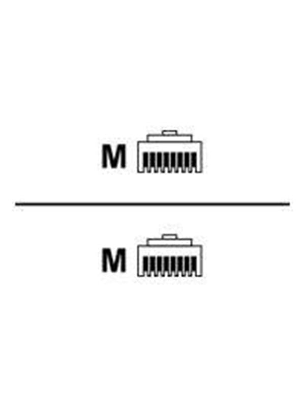 Câble RJ45  Cat.6 SFTP