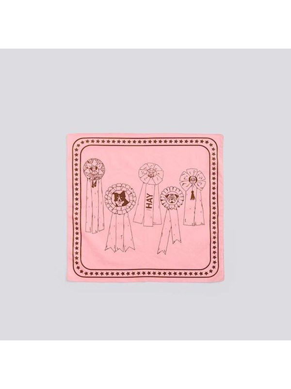 Hay zzHAY - Recycled Dogs Scarf 55 x 55 Pink