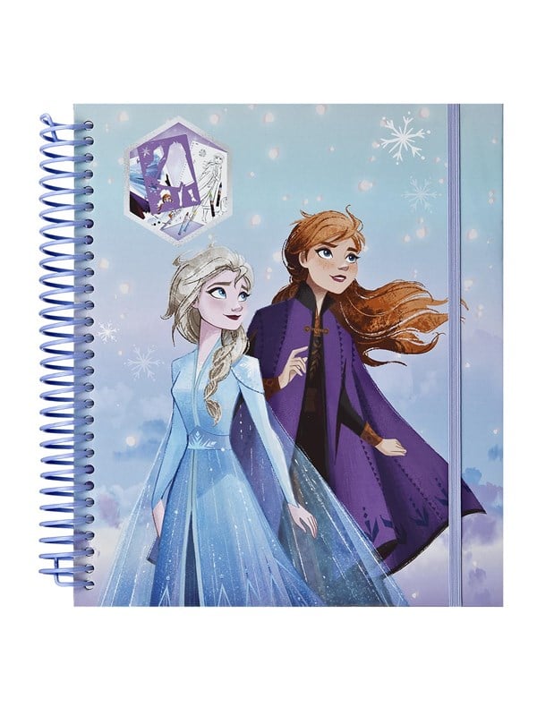 Frozen stencil and colouring set49pc