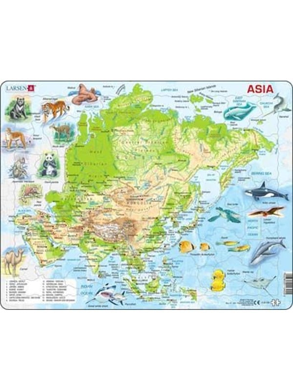 Larsen Puzzles Asia Topographical Map Jigsaw Puzzle  63 pieces Maxi 365 x 285 cm 2D Puzzles