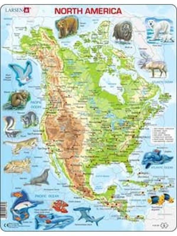 Larsen Puzzles North America Topographical Map with Animals Jigsaw Puzzle  66 pieces Maxi 365 x 285 cm 2D Puzzles