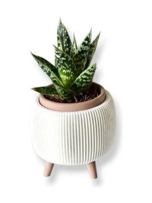 Simiu - Thalor - Krutertopf mit Beinen -  6 cm - WeimarmorLehmbraun