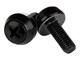 Rack-Gehäuse - StarTech.com M6 Mounting Screws for Server Rack Cabinet - CABSCREWSM6B