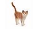 Schleich - Schleich Cat - 13836
