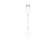 Handys - Anderes Zubehör - Apple USB‑C auf 3,5‑mm-Kopfhöreranschluss Adapter - MW2Q3ZM/A