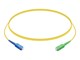 UACC-OFC-SM-PATCH-UPC-APC