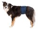 Hunde - Trixie Washable Nappies for Male Dogs XL Waist 65-75cm - TX23665