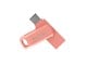 SDDDC3-256G-G46L