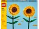 LEGO®  - LEGO Flowers 40524 Sonnenblumen - 40524