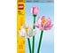 LEGO®  - LEGO Flowers 40647 Lotusblumen - 40647