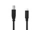 CCGL60650BK10
