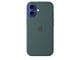 Handys - Cover & Cases - Apple iPhone 16 Silicone Case with MagSafe - Lake Green - MYY83ZM/A