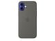 Handys - Cover & Cases - Apple iPhone 16 Plus Silicone Case with MagSafe - Stone Gray - MYYC3ZM/A