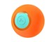 RWJ-12 Orange
