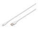 AK-600108-005-W